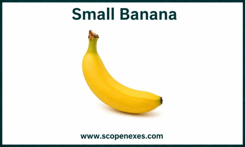 5 inches Small Banana