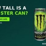 How Tall Is a Monster Can