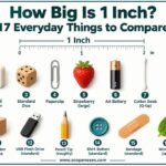 1 Inch